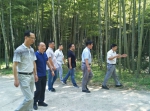 长兴县人大调研生态公益林建设管理工作 - 林业厅