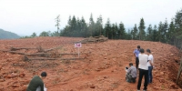 衢江区森林公安局打击破坏林地资源违法犯罪专项行动 - 林业厅