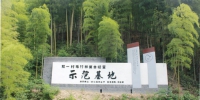 安吉县发展林下经济昌硕街道双一村模式 - 林业厅