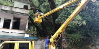 遂昌王村口及时清理古树枯枝确保群众安全 - 林业厅