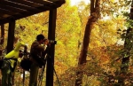 钱王故里的“生态之歌”——打造森林生态发展引领区 唱响“生态临安”最强音 - 林业厅