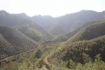 钱王故里的“生态之歌”——打造森林生态发展引领区 唱响“生态临安”最强音 - 林业厅