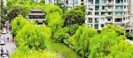 生态廊道，串起西湖和运河 - 杭州网