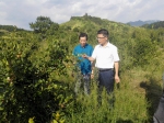 朱飞局长赴武义县指导调研林业产业助农增收工作 - 林业厅