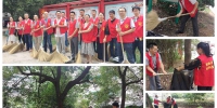 助力全国文明城市创建　金华市林业局志愿服务队在行动 - 林业厅