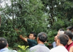 宁海县举办香榧生态化高效栽培技术培训 - 林业厅