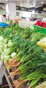 菠菜10元一斤，香菜20多元一斤 杭州部分蔬菜涨得有点猛 - 杭州网