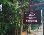 遂昌白马山森林公园建成“森履之野”疗养步道 - 林业厅
