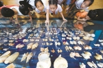 中国湿地博物馆 开设首个“校园博物馆” - 杭州网