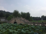 图为荷湖村荷花池与莲花桥。 项菁 摄 - 浙江新闻网