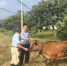 图为：民警帮着老曹找牛。 湖州公安供图 - 浙江新闻网