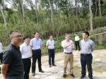 绍兴市副市长专题调研会稽山国家森林公园创建工作 - 林业厅