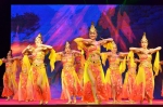 嘉兴市举行第六届排舞大赛 - 文化厅