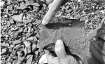 杭州绕城西复线工地发现“笔石”化石 距今已有4亿多年历史 - 杭州网