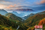 连绵的大山，无尽的彩叶，绘成这幅壮丽的图画。图为城口彩叶景色。　王荣 摄 - 浙江新闻网