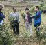 淳安林业团队倾情帮扶助力贵州剑河绿色脱贫 - 林业厅