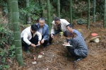 探索竹林经济模式 促进产业循环相生 - 林业厅