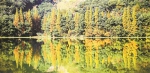 生态优先，打造山水相望大花园 - 杭州网