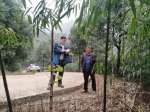 龙游县林业专家赴川支援西部林业建设 - 林业厅