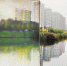 画在景中 景中有画 一支画笔描绘开发区的河道美景 - 杭州网
