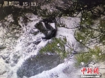 杭州临安天目山国家级自然保护区仙人顶迎初雪。　临安宣传部　供图 - 浙江新闻网