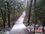 杭州临安天目山国家级自然保护区仙人顶迎初雪。　临安宣传部供图 - 浙江新闻网