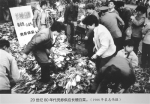 “凭券供应长梗白菜”的黑白照片 让蔡大伯看得十分感慨 - 杭州网