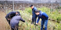 杭州师范大学金孝锋教授到九龙山保护区考察 - 林业厅