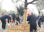 绍兴市领导参加义务植树活动 - 林业厅