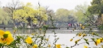 图为杭州湖中三岛景区（三潭印月）湖边美景。 楼光红 摄 - 浙江新闻网