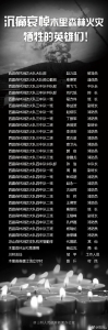 四川省凉山州木里县森林火灾牺牲人员名单公布 - 浙江新闻网