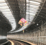 一只小小风筝 逼停杭州6列地铁 - 杭州网