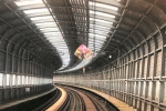 一只小小风筝 逼停杭州6列地铁 - 杭州网