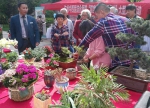 杭州市花卉苗木进社区活动在滨江举行 - 林业厅