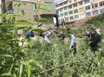 台州市多部门联合到温岭检查指导禁种铲毒工作 - 林业厅