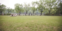 西湖边，孤山下 四块大草坪对外开放 - 杭州网