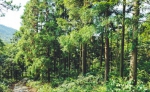 新昌县：守护自然资源打造“生态经济” - 林业厅