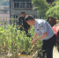 桐庐：警民携手让“罪恶之花”无处绽放 - 林业厅