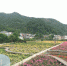 “玫瑰小镇”：将美丽风景转化为美丽经济 - 林业厅