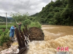杭州建德市下涯镇大洲溪大洲村堤坝坍塌。　方琳 摄 - 浙江新闻网