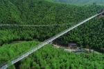 中国最长竹海玻璃天桥在安吉建成 - 林业厅