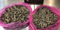 干制海参属于水生动物产品，为禁止携带、邮寄进境物品。义乌海关提供 - 浙江新闻网