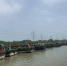 杭州内河水域停泊大量船只。　张斌 摄 - 浙江新闻网