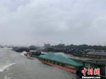 杭州内河水域停泊大量船只。　张斌 摄 - 浙江新闻网