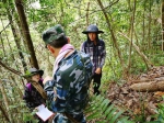 九龙山保护区积极开展固定样地调查工作 - 林业厅
