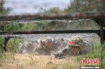 官兵们负重30斤，在35公里的路段上处置各种“敌情” 韩海建 摄 - 浙江新闻网