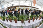 中国春兰节花落柯桥 首届中国（绍兴·柯桥）春兰节将于明年2月举行 - 林业厅