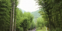 图为9月1日拍摄的杭州余杭的农村公路。中新社发 王怡旻 摄 - 浙江新闻网