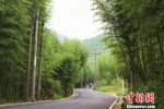 图为9月1日拍摄的杭州余杭的农村公路。中新社发 王怡旻 摄 - 浙江新闻网