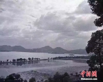 1949年的杭州白堤。 苏联摄影师供图 - 浙江新闻网